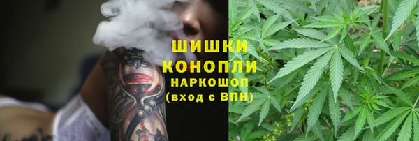 трава Киренск