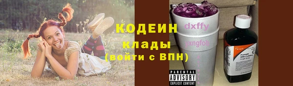 ПСИЛОЦИБИНОВЫЕ ГРИБЫ Кодинск