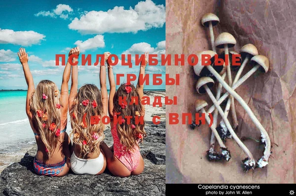 бутират Козловка