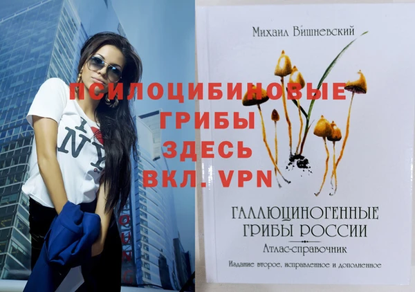 первитин Киреевск